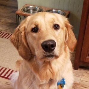 Meet your Posher, Kelley